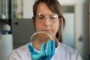Ein Team der Technischen Universität München hat ein neues Verfahren zur schnelleren Bestimmung.jpeg