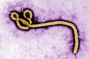 KINA Gemeinsamer Kampf gegen ein gefährliches Virus.jpeg