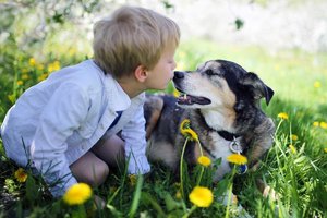 Canine cancer drug fasttracked for treating kids.jpg