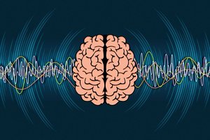 Landmark study unlocks new way to improve focus attention and memory.jpg