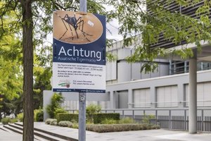 Plakat mit Gefahrenhinweis und Verhaltensregeln zur Asiatischen Tigermücke in der Stadt Walldor.jpeg