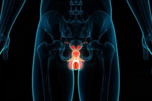 Blocking newly discovered enzymes could boost prostate cancer treatment.jpg
