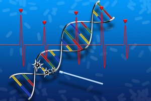 Firstever drug to repair DNA and regenerate damaged tissue is here.jpg