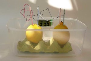 Stretchy battery inspired by lemons improves voltage and cell life.jpg
