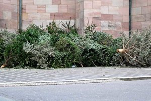 Weihnachtsbaum entsorgen was gilt.jpeg
