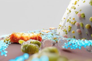 Targetseeking toothpaste goes after bacteria that cause gum disease.png