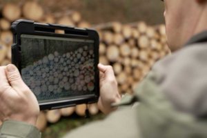 Holzvermessen mit photooptischer App.jpeg