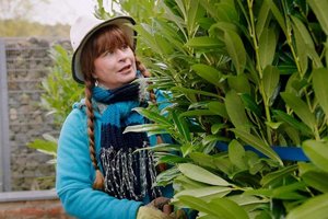 Sabrina Nitsche von Querbeet will die alte Kirschlorbeerhecke aus ihrem Garten entfernen und d.jpeg