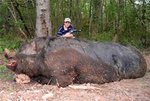 monster-pig.jpg