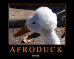 afroduckmu7.jpg