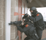 swat.gif