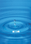 Wasser.gif