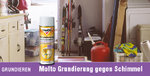 gg-schimmel_spray_1.jpg