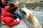 knut_mad_650_445997a.jpg
