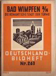 wimpfen_263_verstaubt.jpg