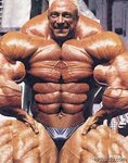 bodybuilder.jpg