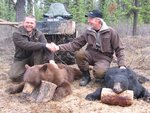 SpringBear2008b.jpg