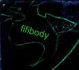 fifibody