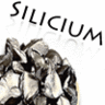 silicium-ranger